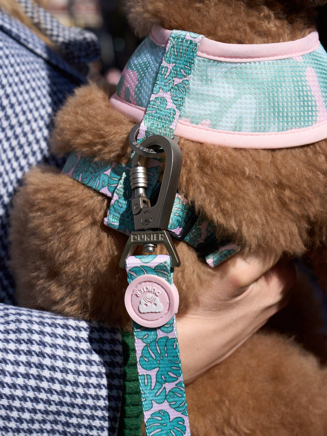 ARNÉS REVERSIBLE PARA PERRO MONSTERA