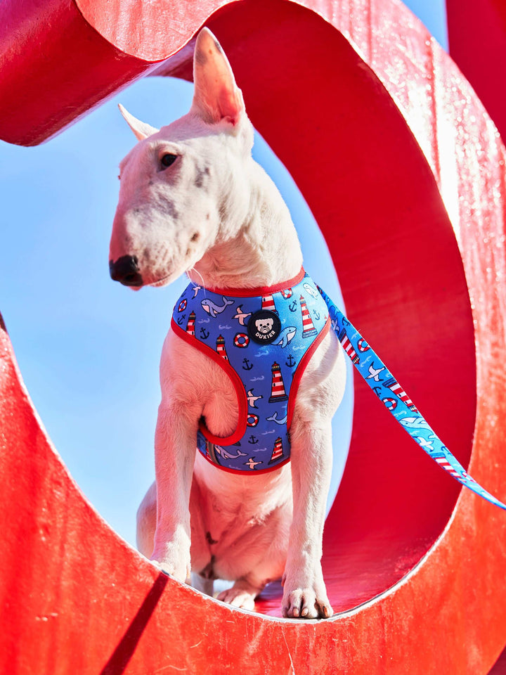 ARNÉS REVERSIBLE PARA PERRO NAVY