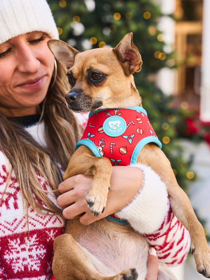 ARNÉS REVERSIBLE PARA PERRO XMAS JUMPER