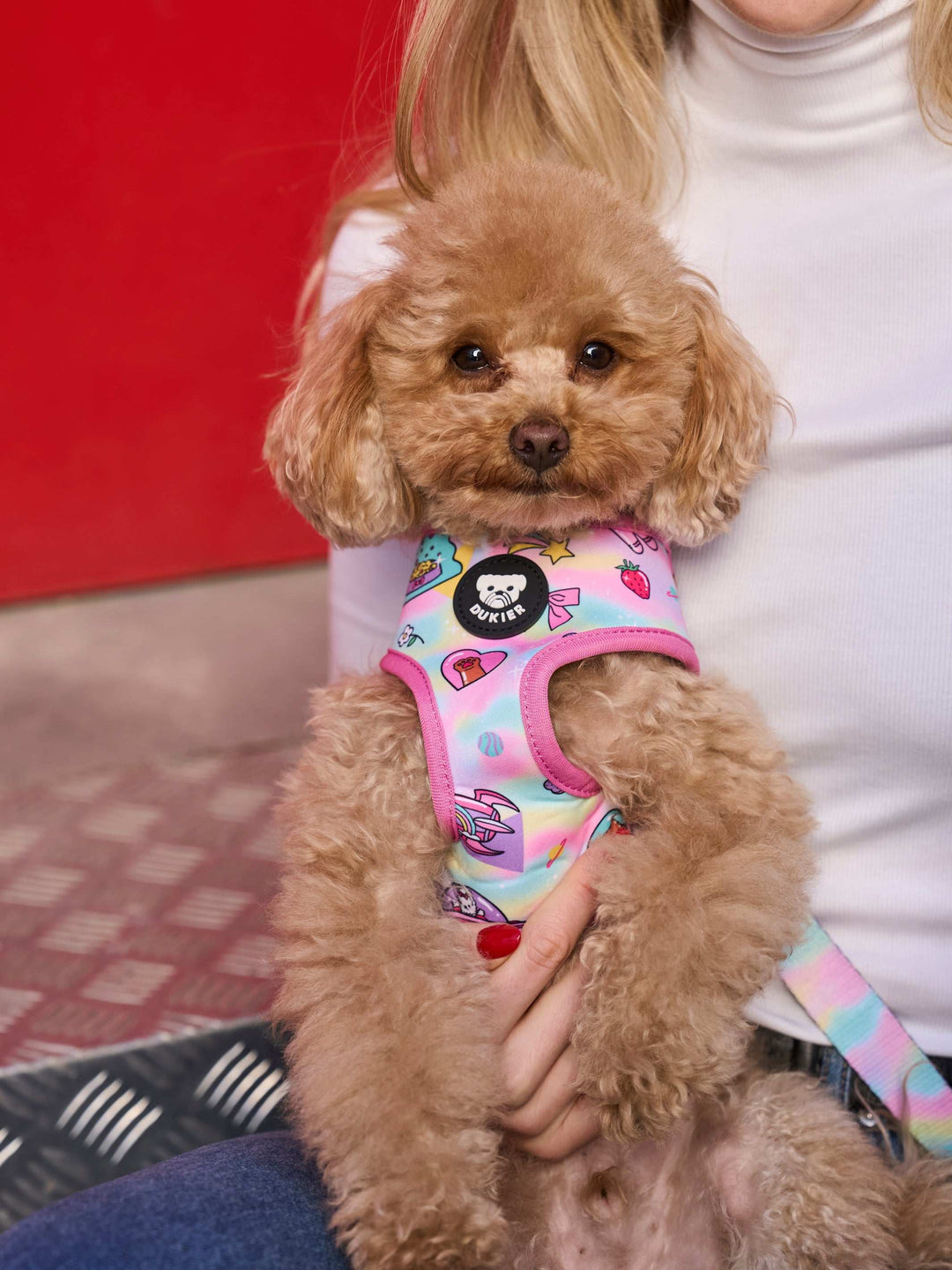 ARNÉS REVERSIBLE PARA PERRO PINK GALAXY