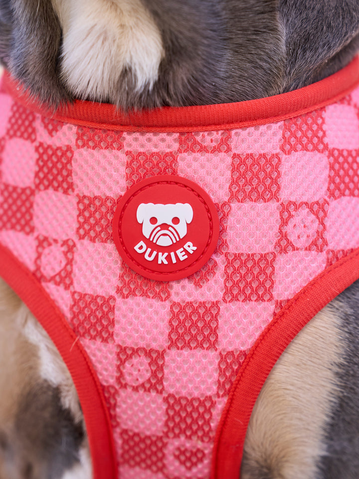 BERRY LOVE REVERSIBLE DOG HARNESS