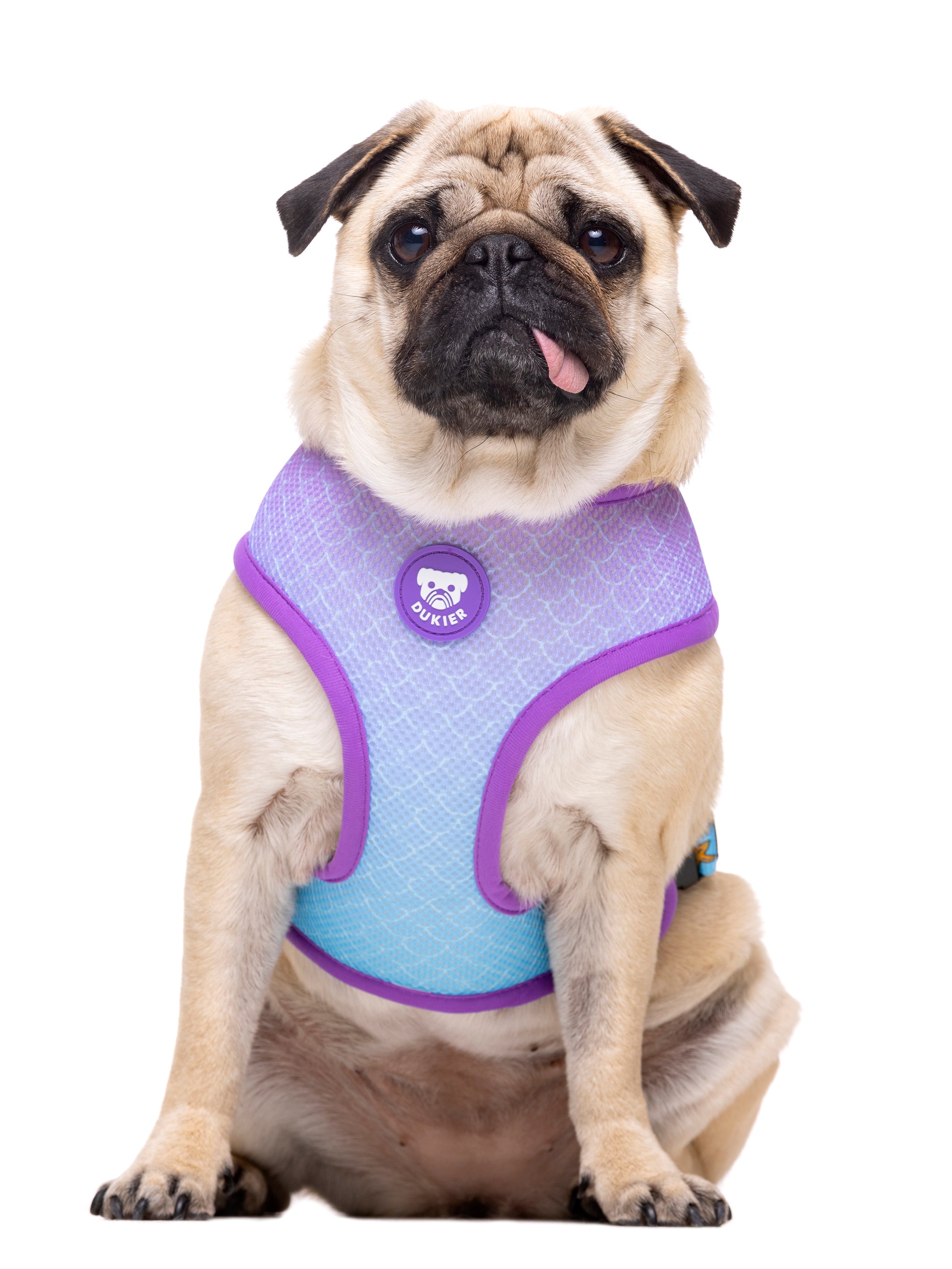 Mermaid dog harness shop
