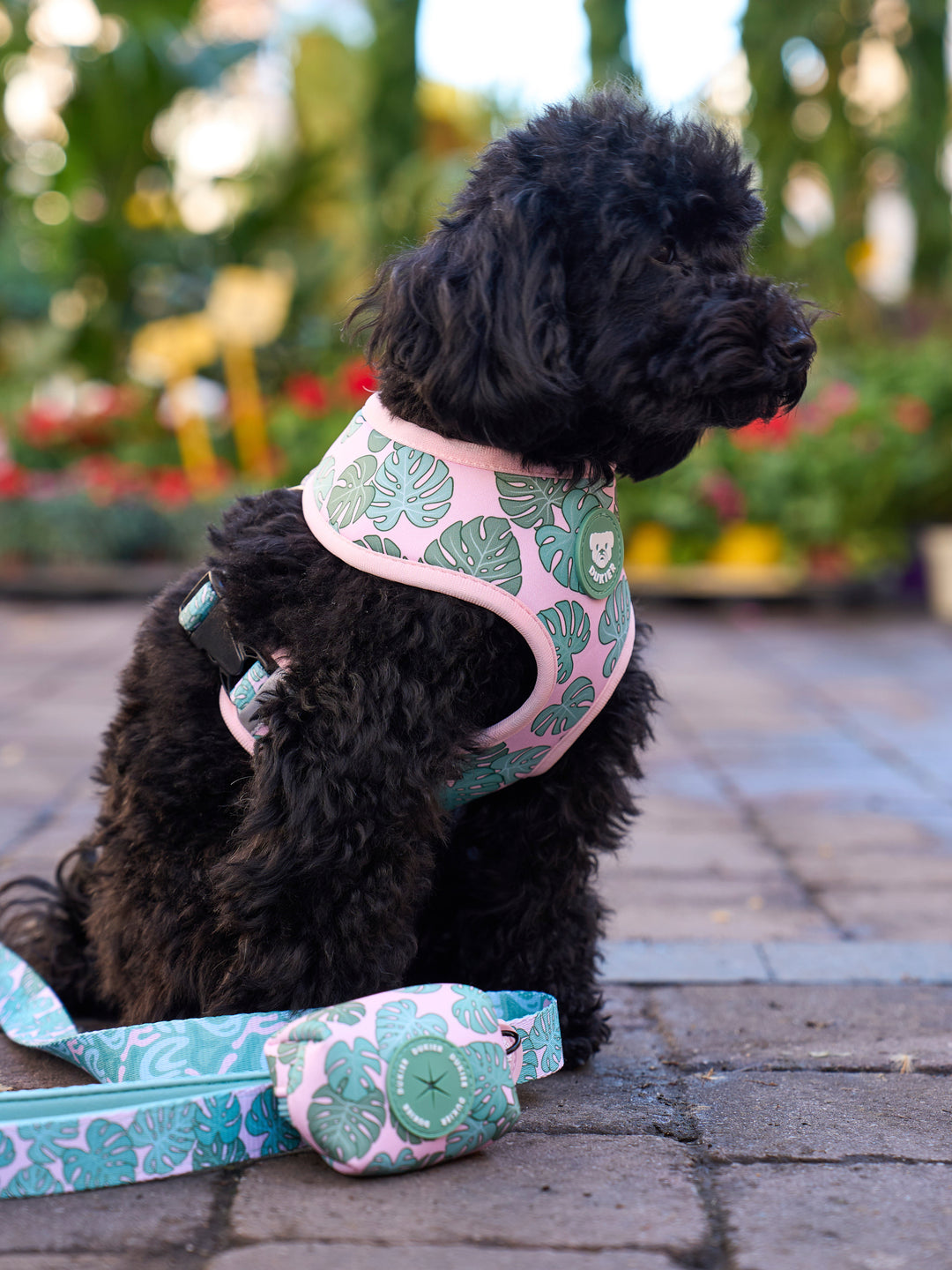 MONSTERA REVERSIBLE DOG HARNESS