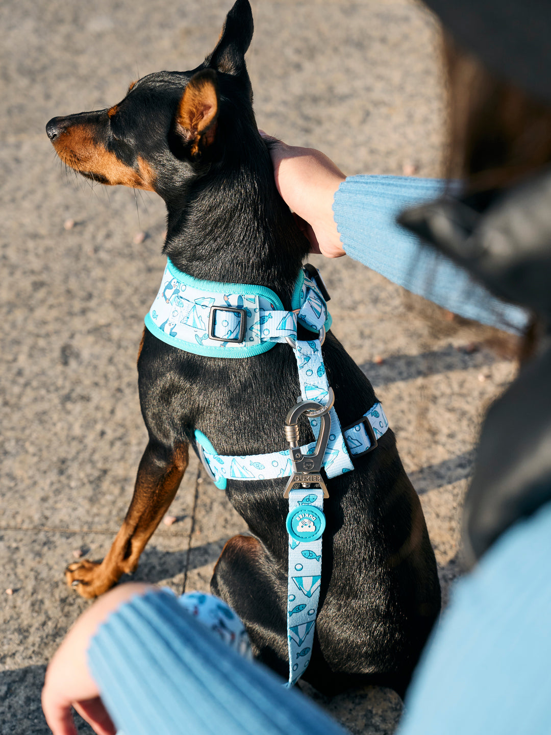 ARNÉS AJUSTABLE PARA PERRO PENGUINS