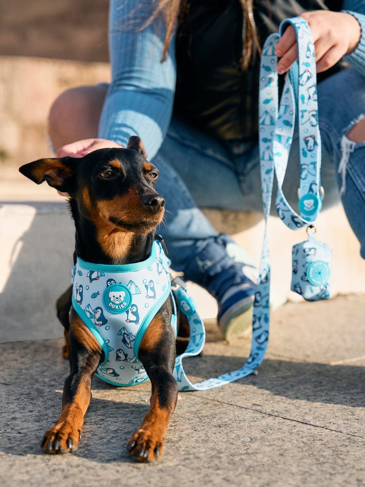 ARNÉS AJUSTABLE PARA PERRO PENGUINS