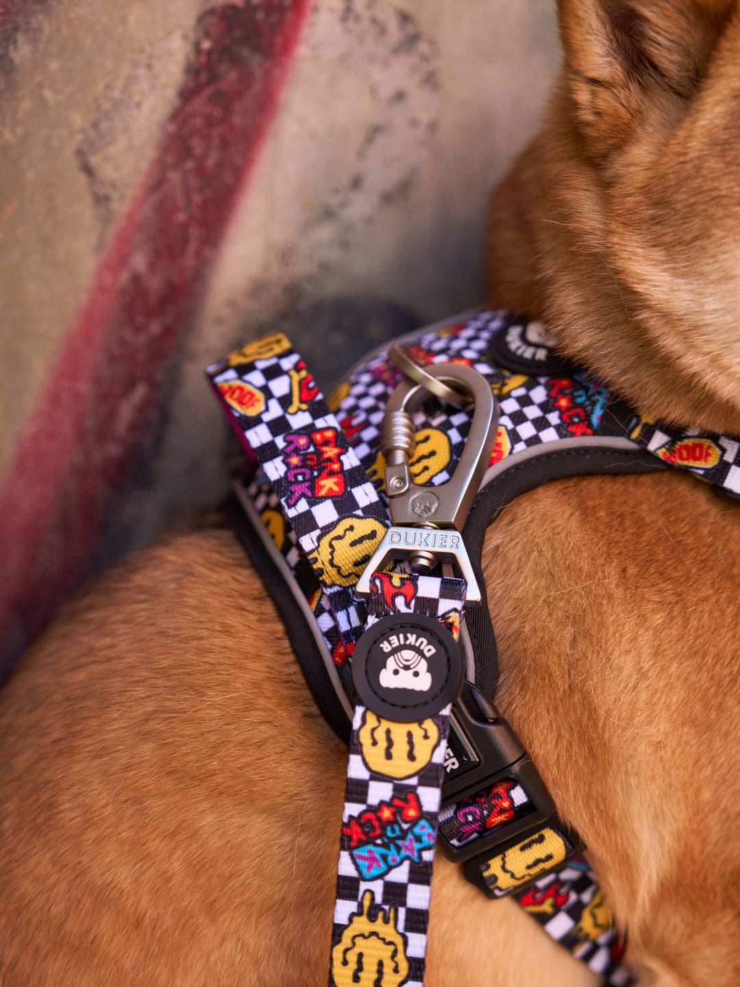 DUKIER DOG TRAIL DOG HARNESS GRUNGE – Dukier