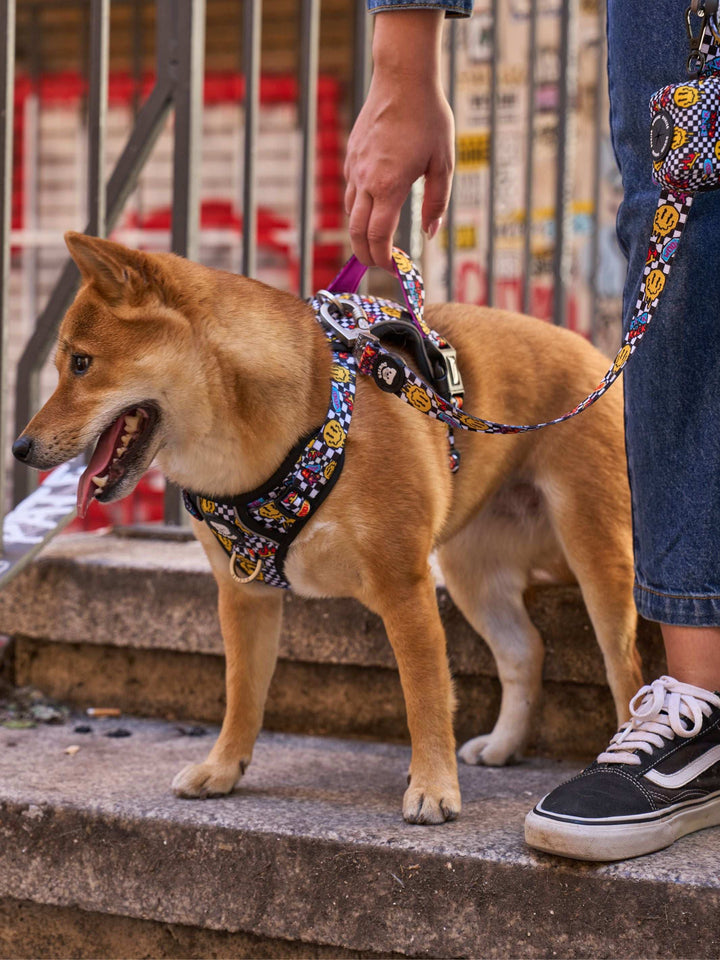 ARNES TRAIL PARA PERRO GRUNGE
