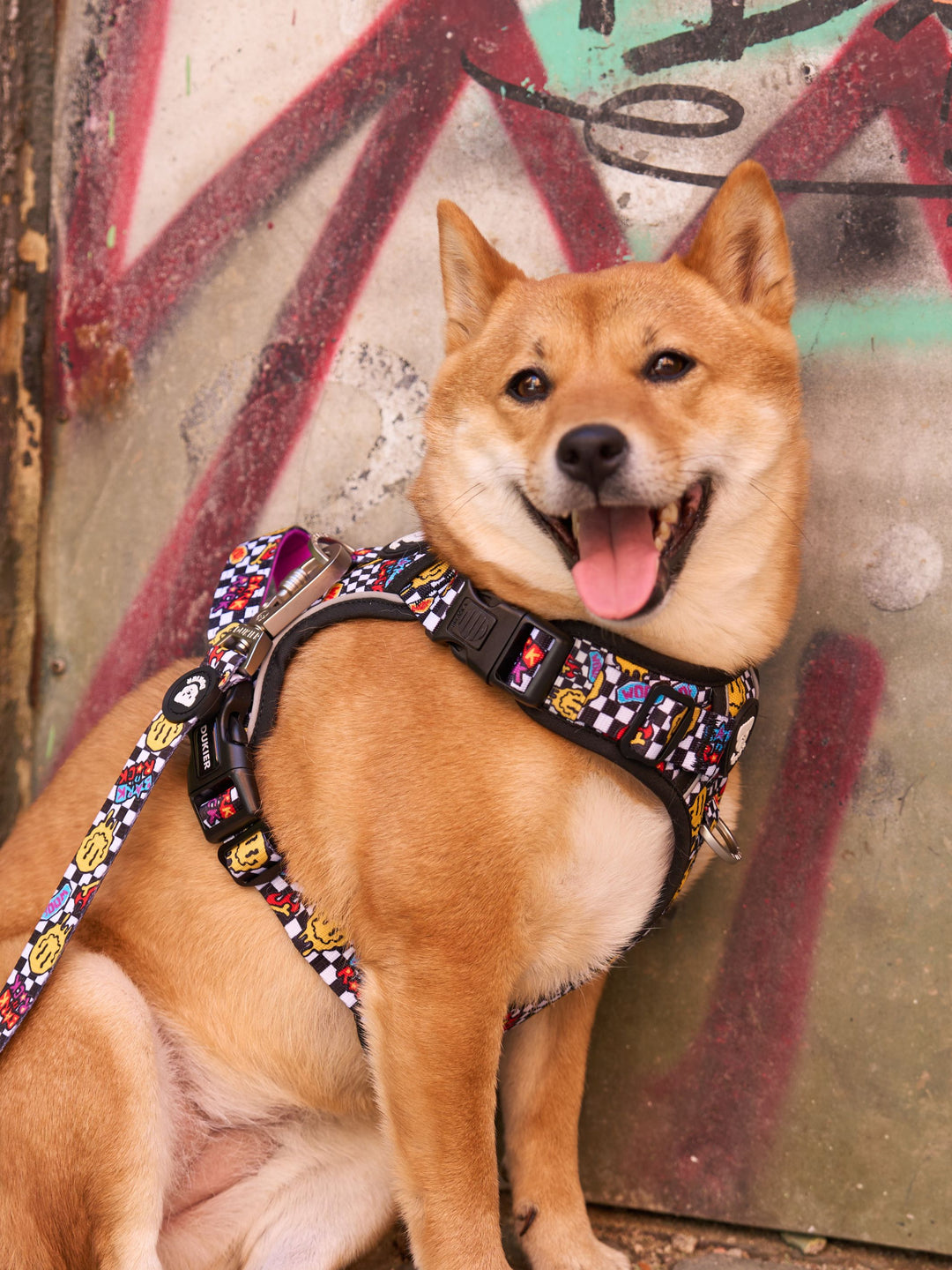 PETTORINA TRAIL PER CANE GRUNGE