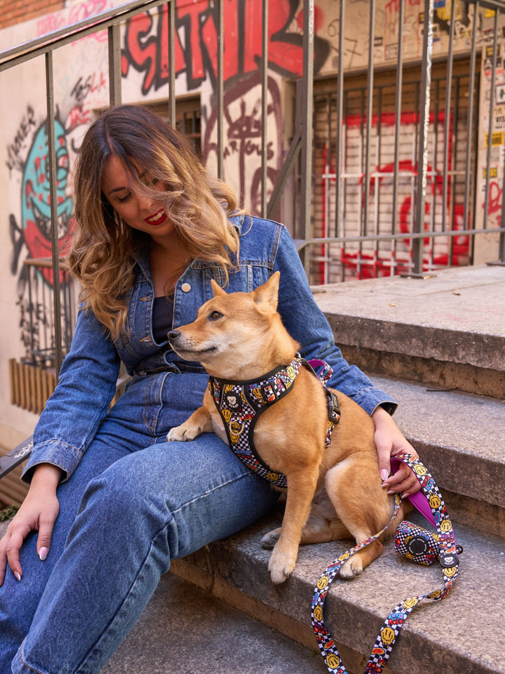 PETTORINA TRAIL PER CANE GRUNGE