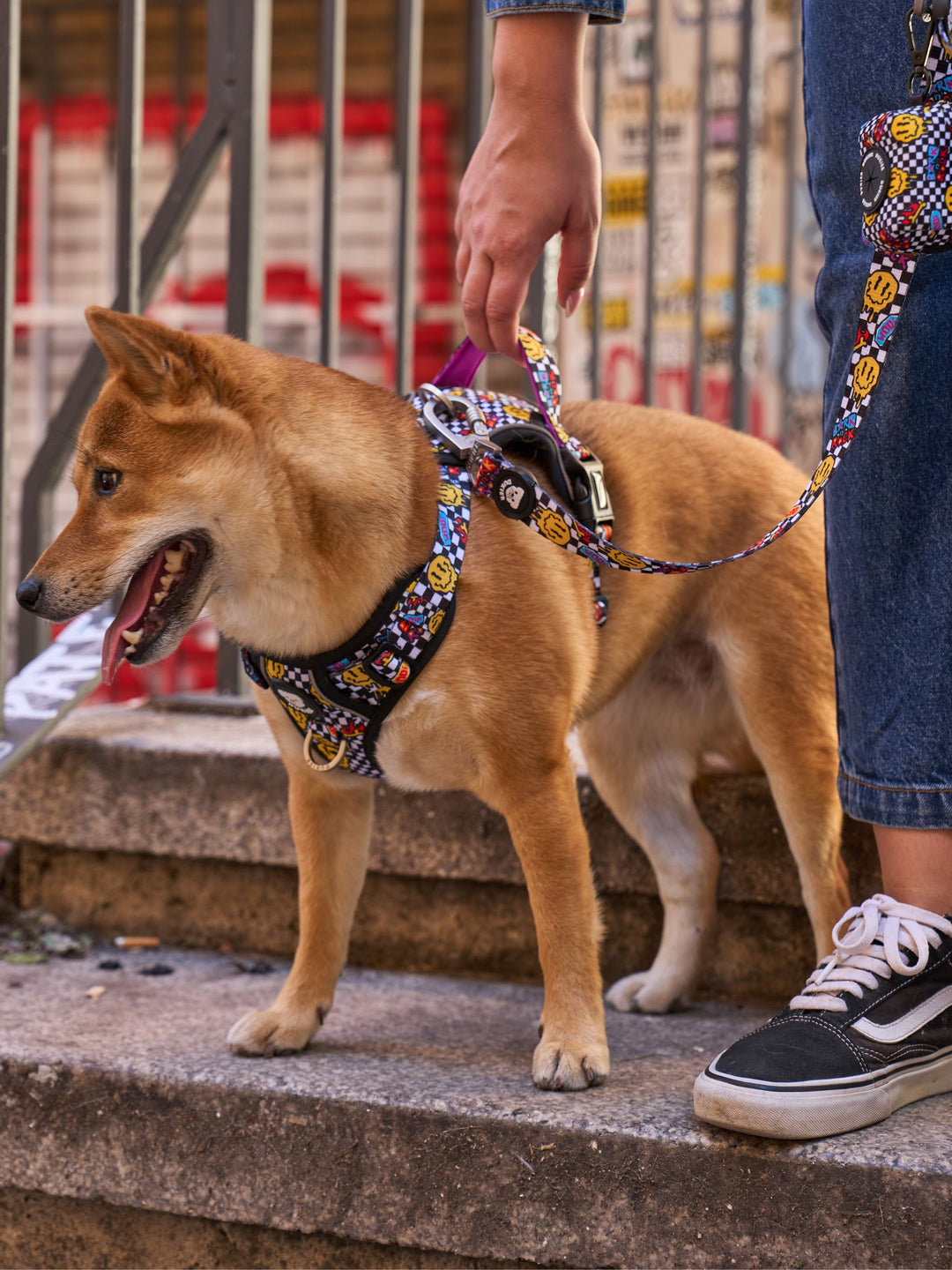PETTORINA TRAIL PER CANE GRUNGE