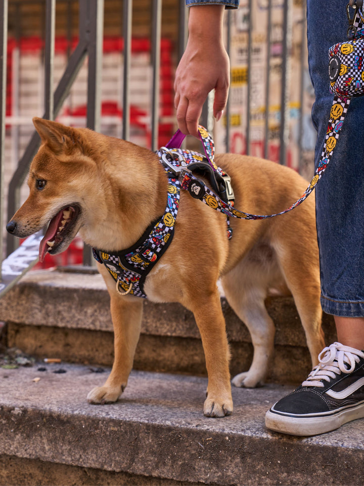 PETTORINA TRAIL PER CANE GRUNGE