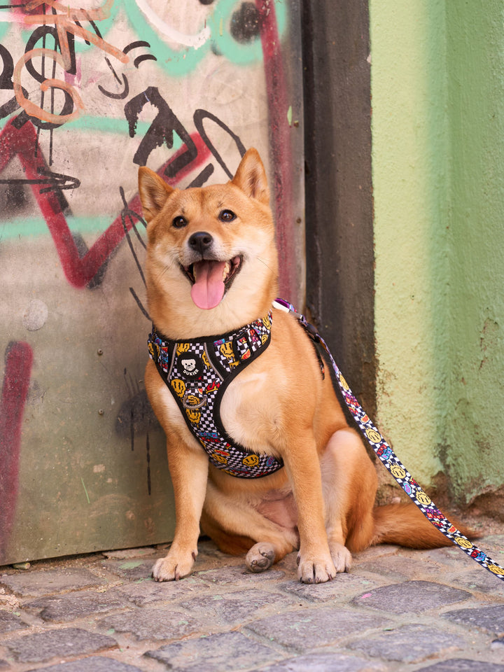 PETTORINA TRAIL PER CANE GRUNGE