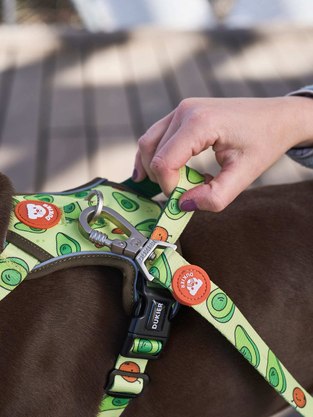 ARNES TRAIL PARA PERRO AVOCADO