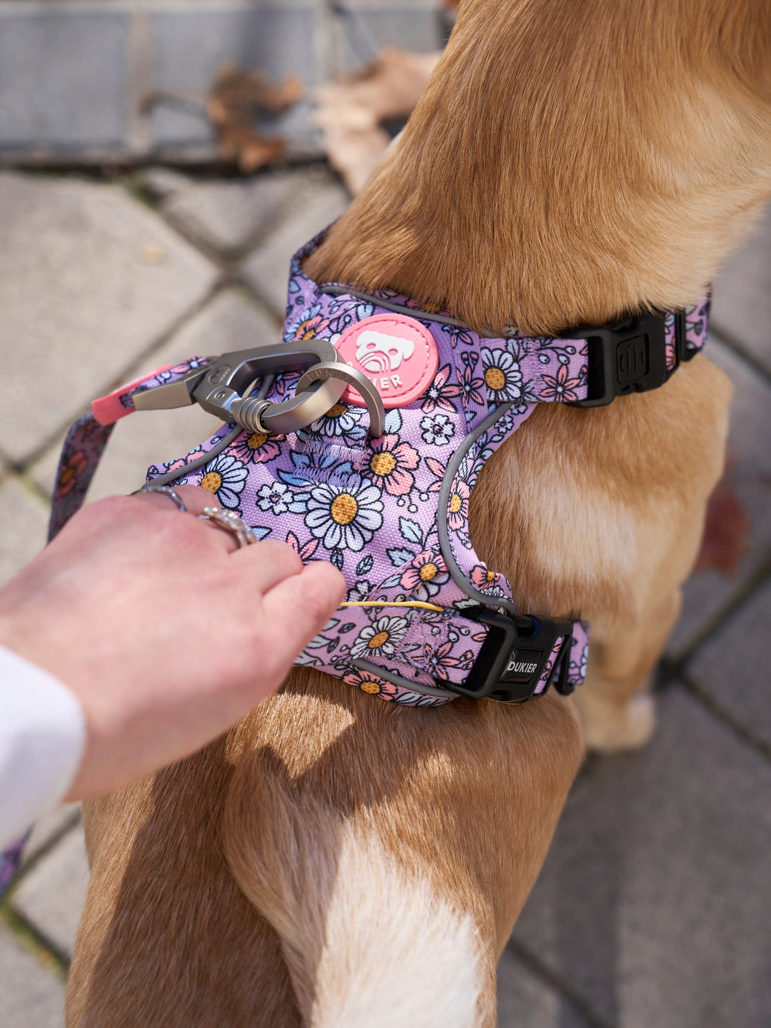 TRAIL DOG HARNESS FLOWER POWER