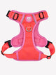 COLLECTION KALEIDO PINK GRID