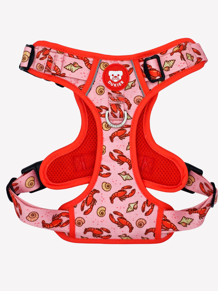 ARNES TRAIL PARA PERRO LOBSTERS