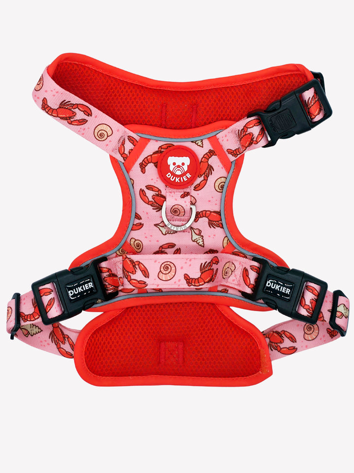 ARNES TRAIL PARA PERRO LOBSTERS