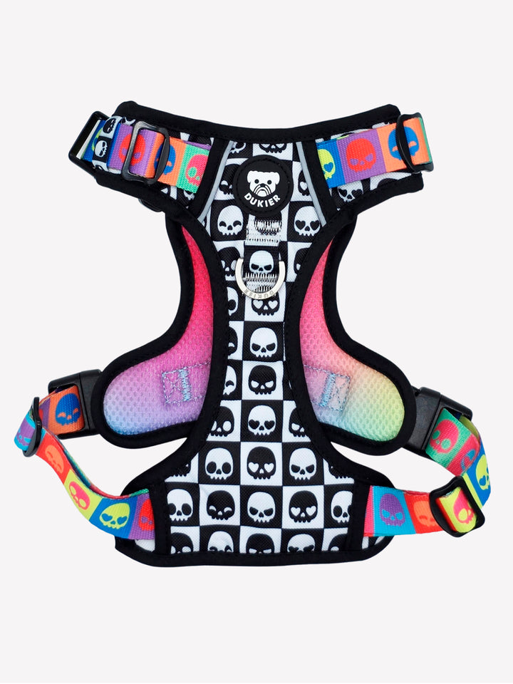 HARNAIS TRAIL POUR CHIEN SKULLS