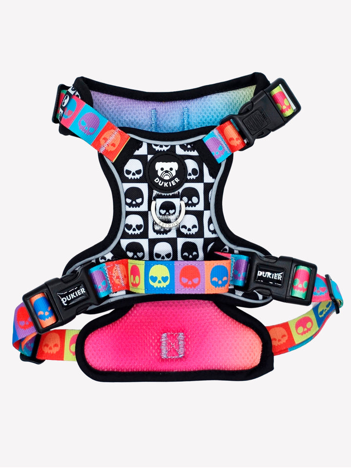 HARNAIS TRAIL POUR CHIEN SKULLS