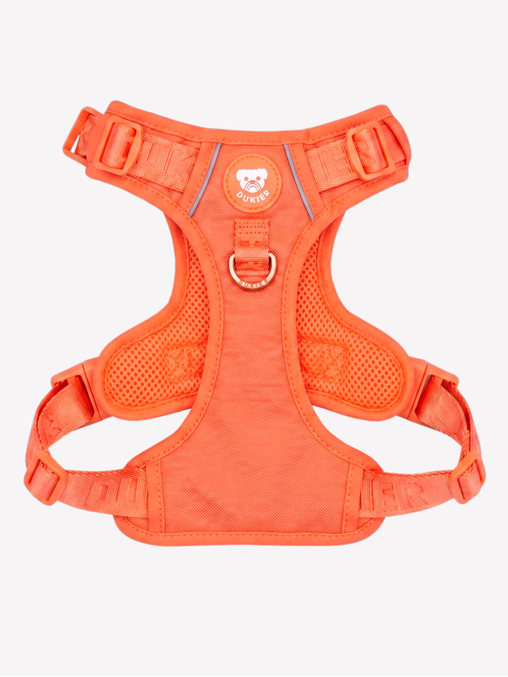 TRAIL DOG HARNESS TANGERINE
