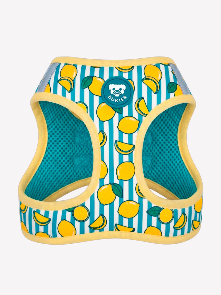 ARNÊS BODY PARA CÃES BLOOM