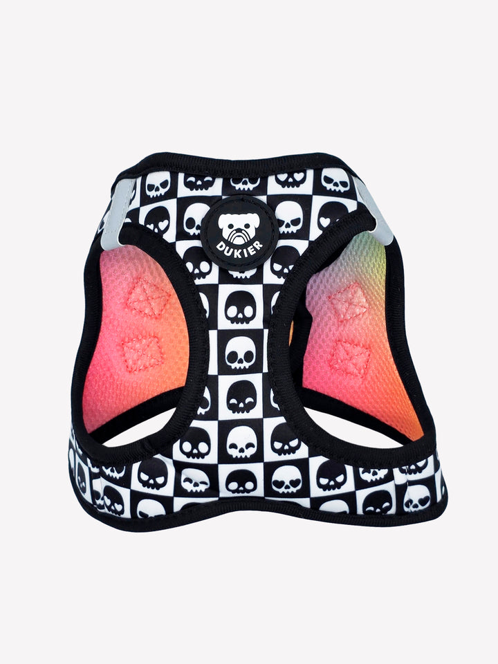 BODY HUNDEGESCHIRR SKULLS