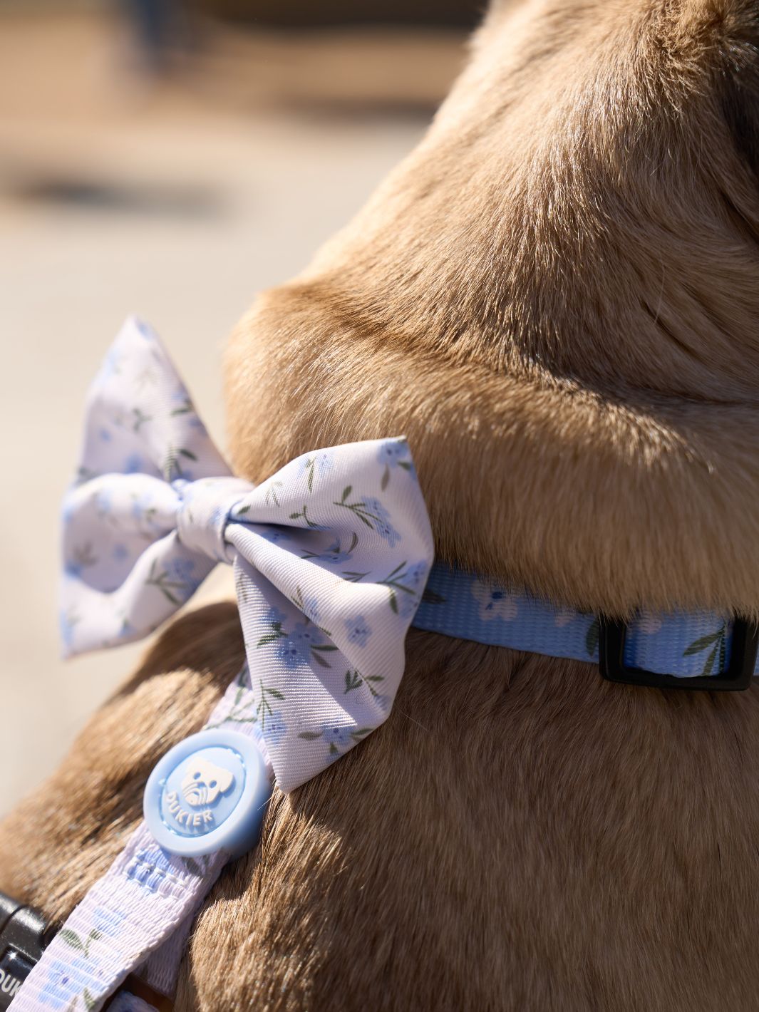 CLASSIC DOG HARNESS BLOOM