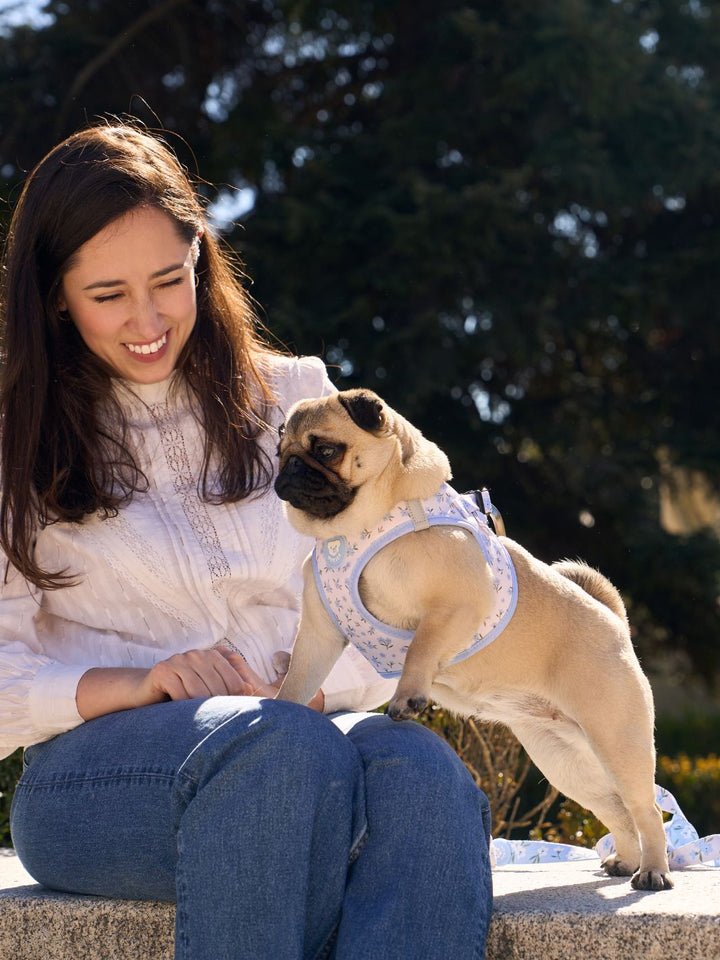 BODY DOG HARNESS BLOOM