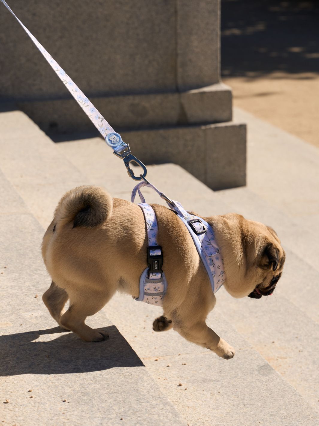 ADJUSTABLE DOG HARNESS BLOOM
