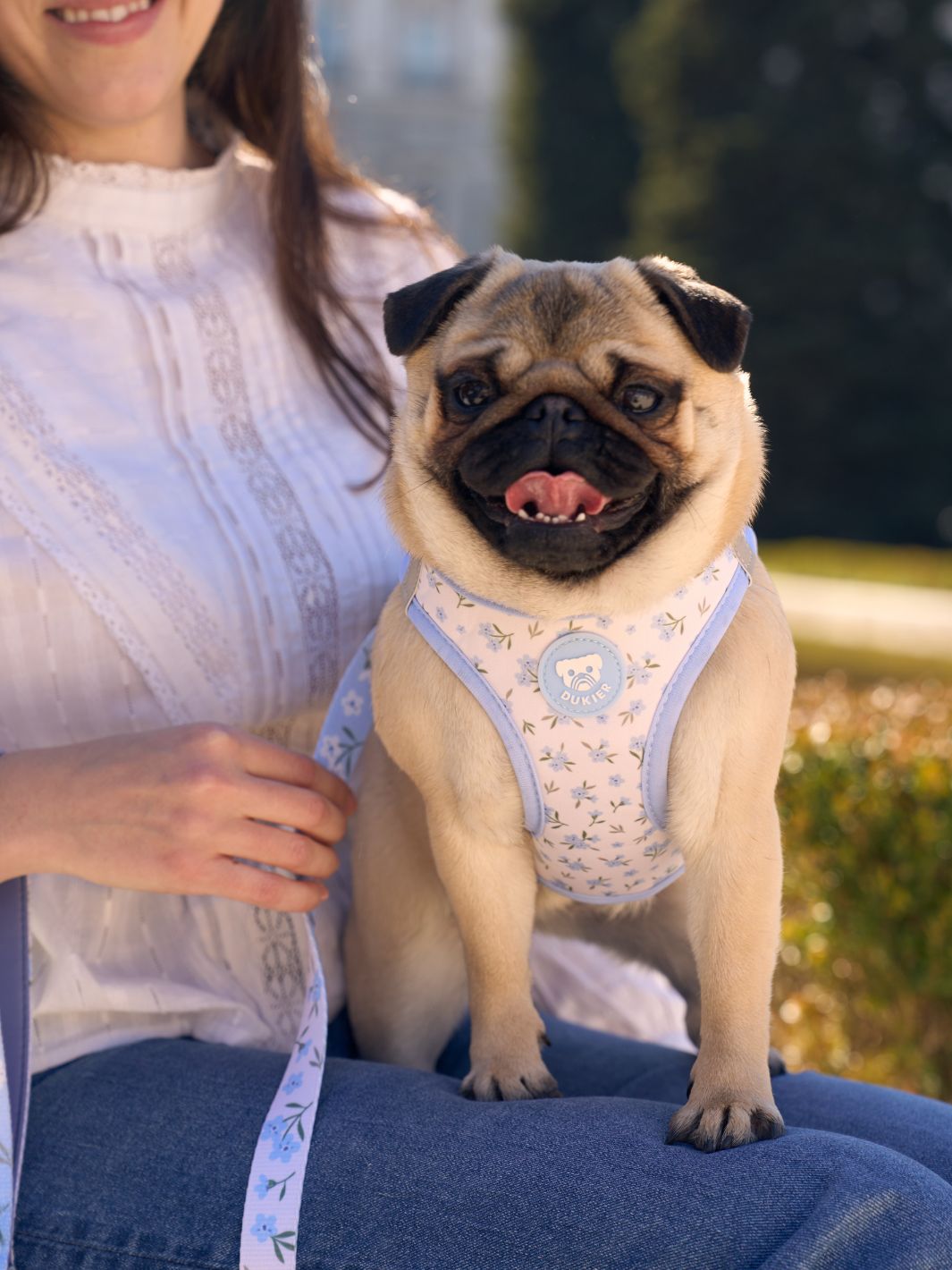 BODY DOG HARNESS BLOOM