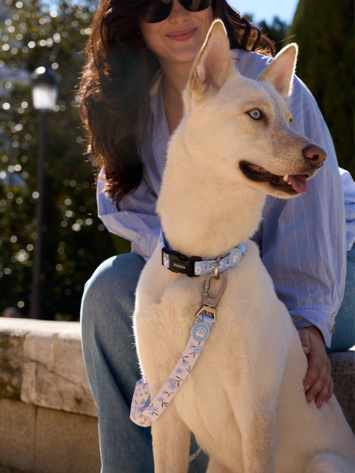 DOG COLLAR  BLOOM