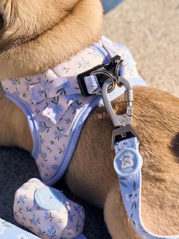 BODY DOG HARNESS BLOOM