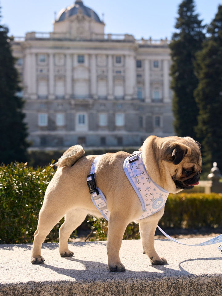 ADJUSTABLE DOG HARNESS BLOOM