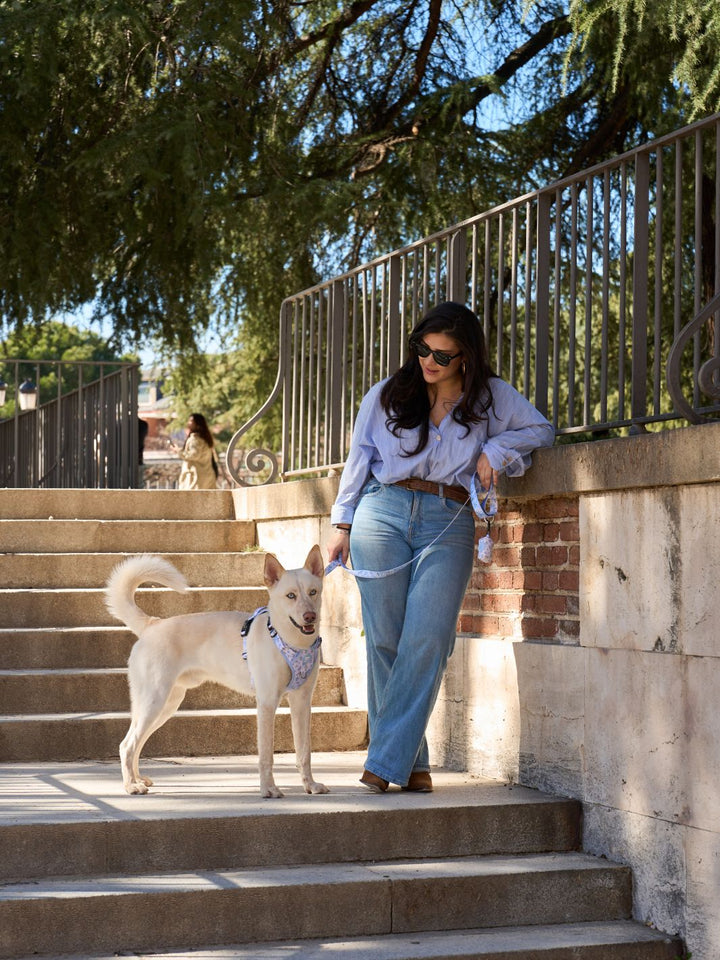 HARNAIS TRAIL BLOOM POUR CHIEN