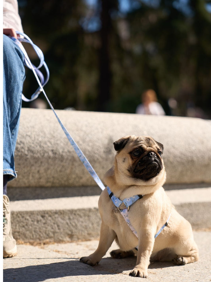 CLASSIC DOG HARNESS BLOOM