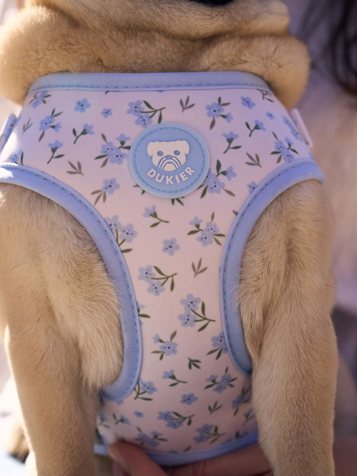 ADJUSTABLE DOG HARNESS BLOOM