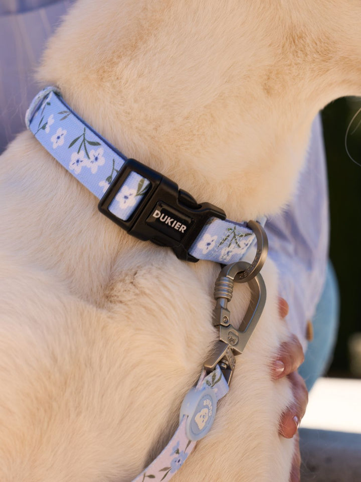 DOG COLLAR  BLOOM