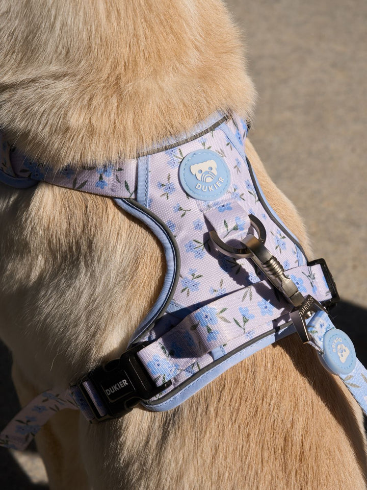 HARNAIS TRAIL BLOOM POUR CHIEN