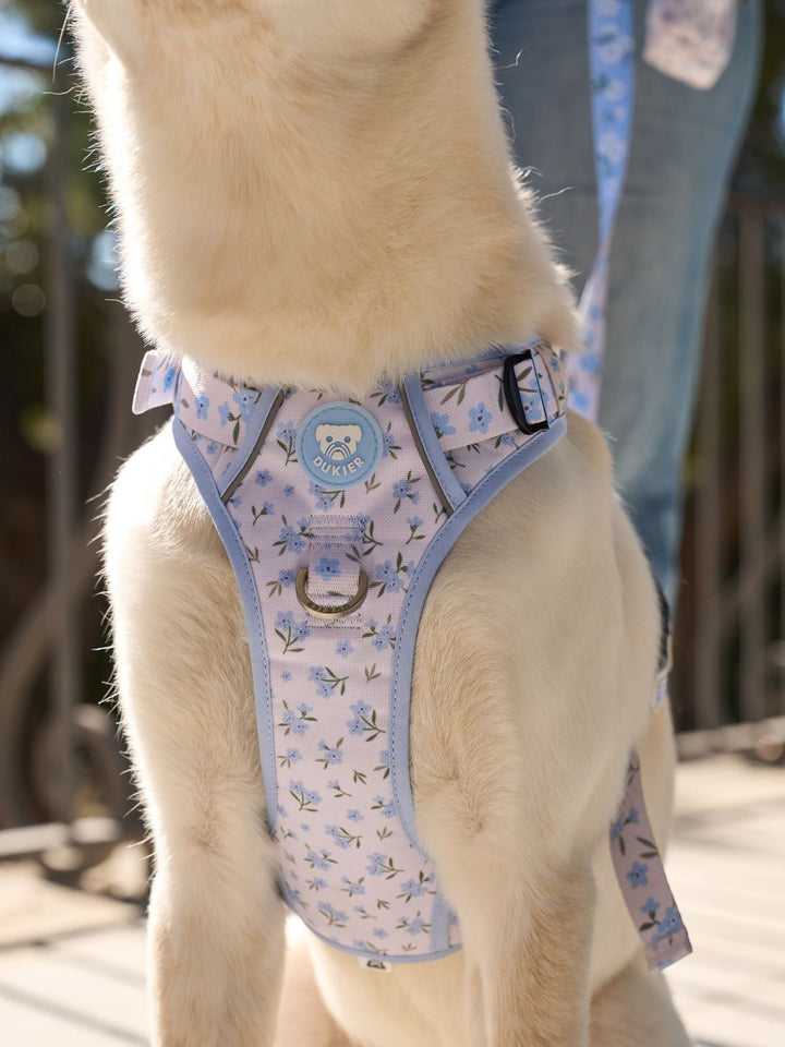 HARNAIS TRAIL BLOOM POUR CHIEN