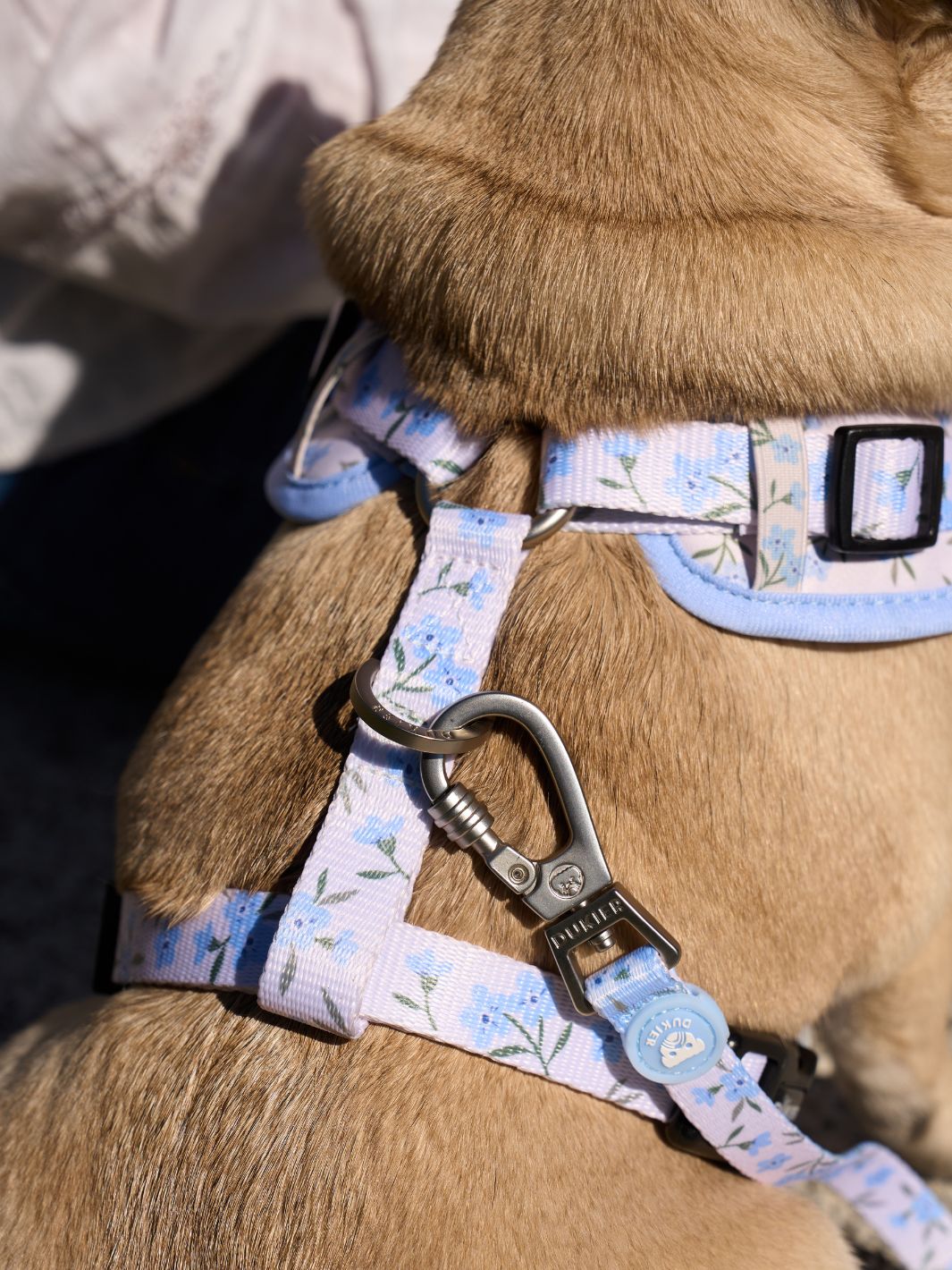 GUINZAGLIO PER CANI BLOOM