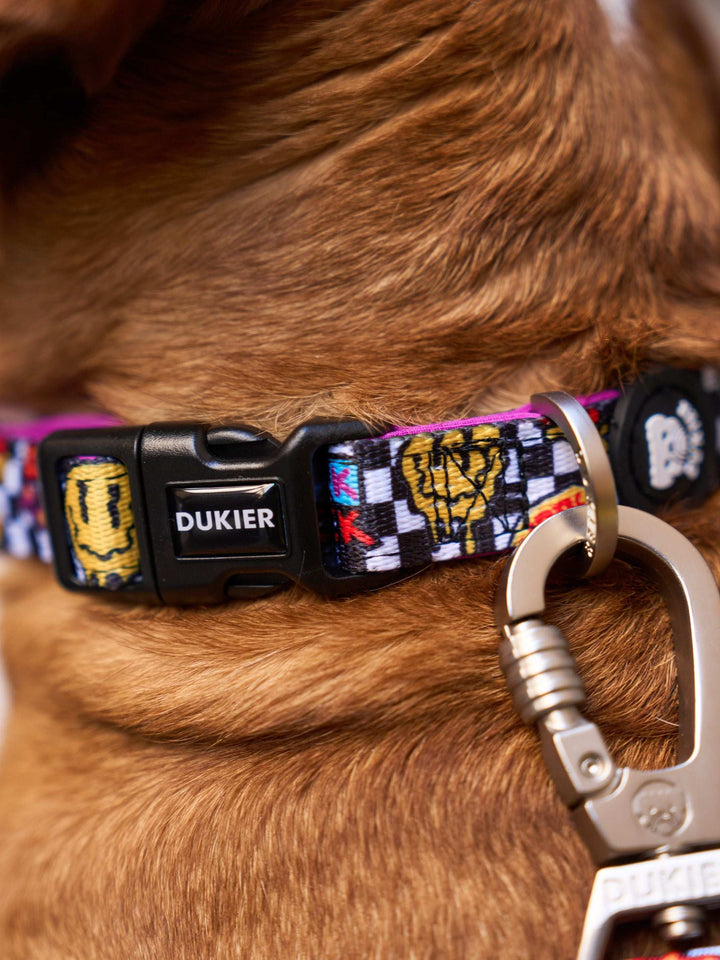 COLLAR PARA PERRO GRUNGE