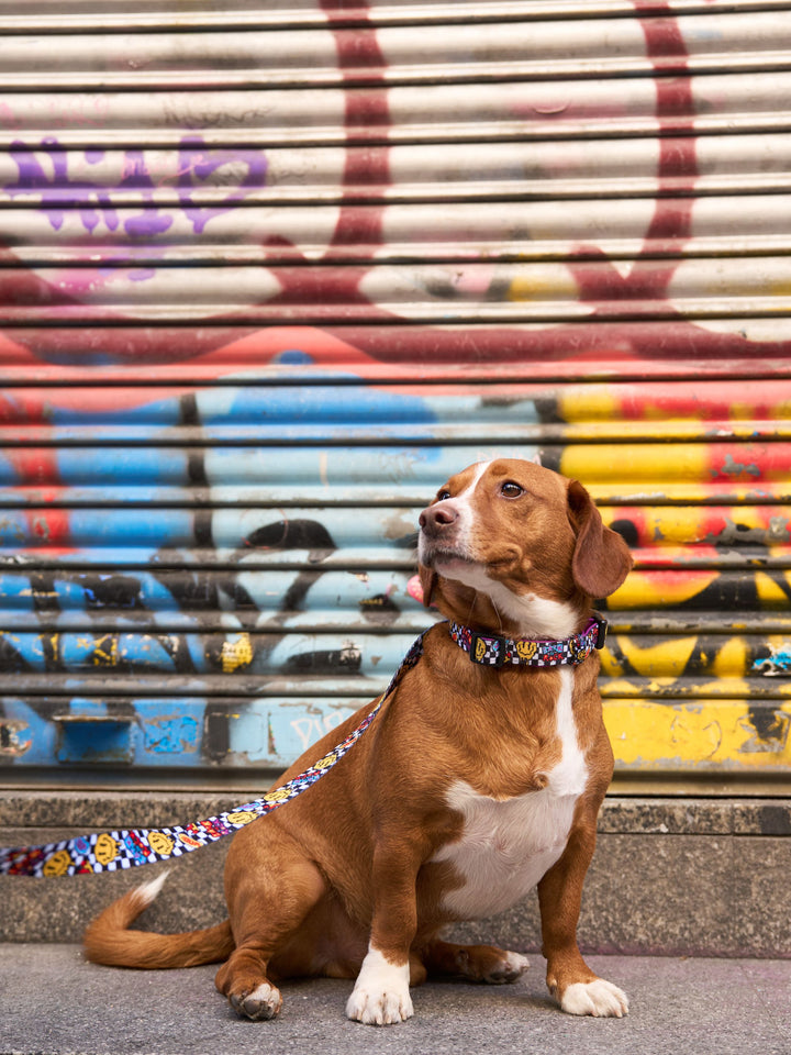 GRUNGE DOG COLLAR