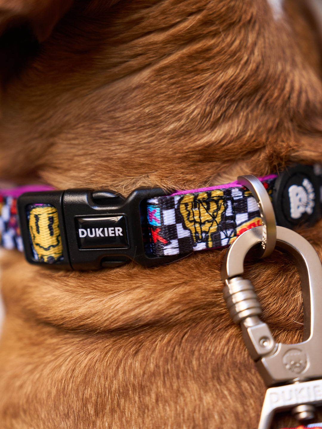 GRUNGE DOG COLLAR