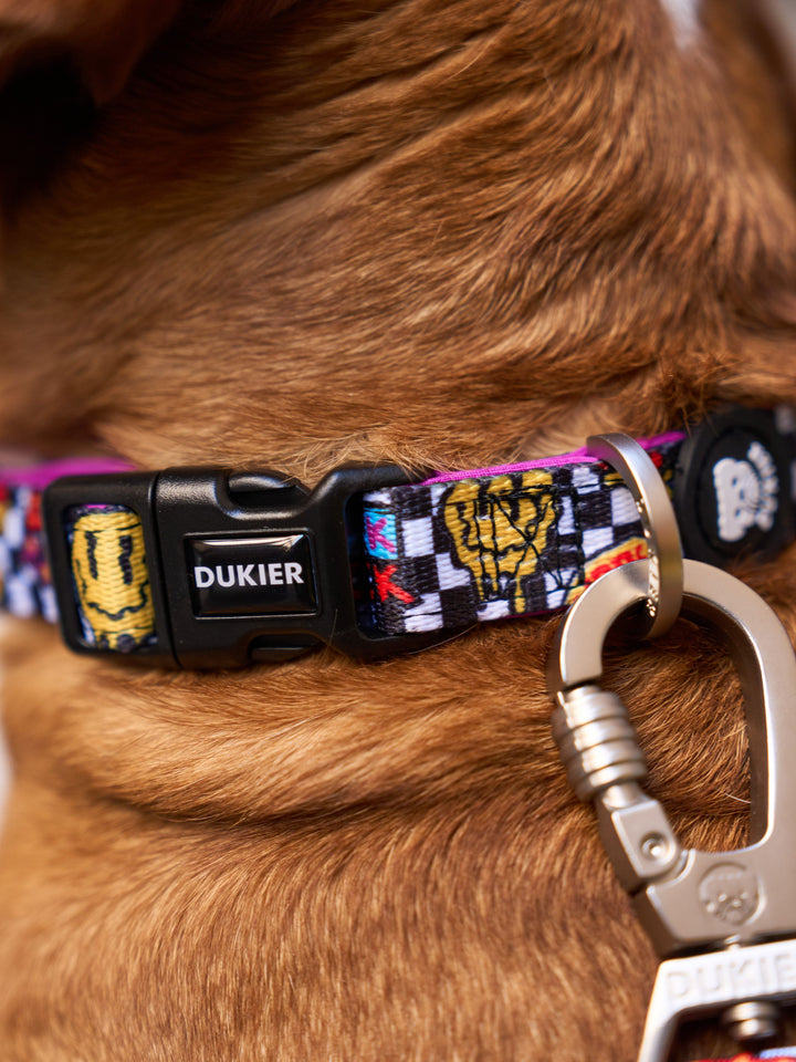 GRUNGE DOG COLLAR
