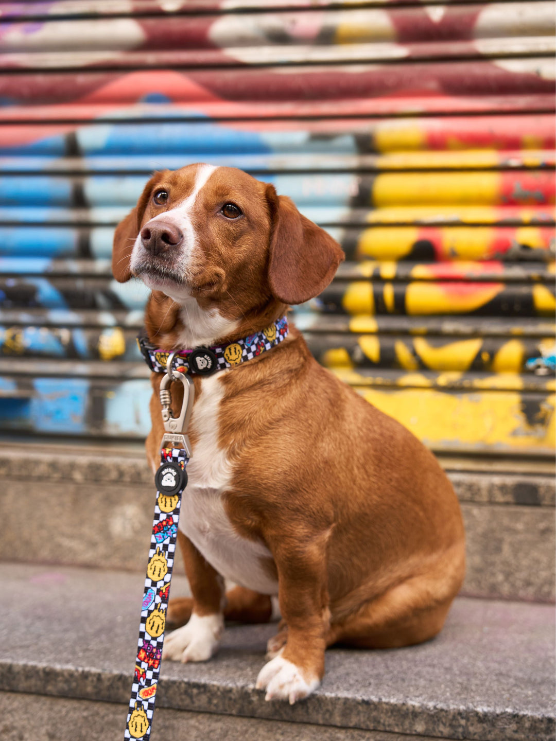 GRUNGE DOG COLLAR