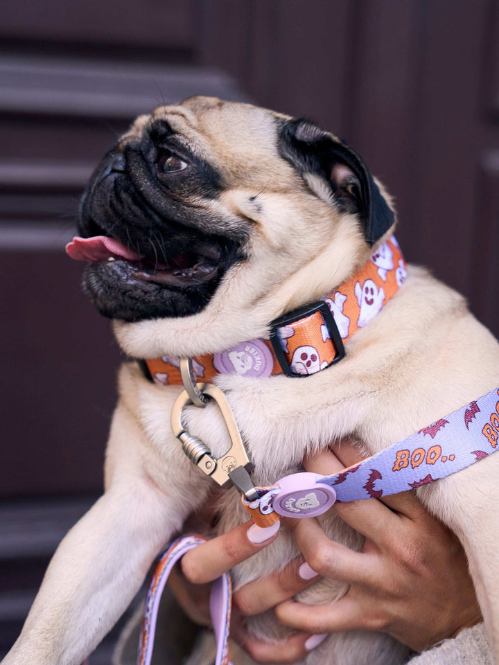 COLLAR PARA PERRO BOOH!