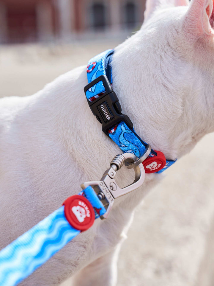COLLAR PARA PERRO NAVY
