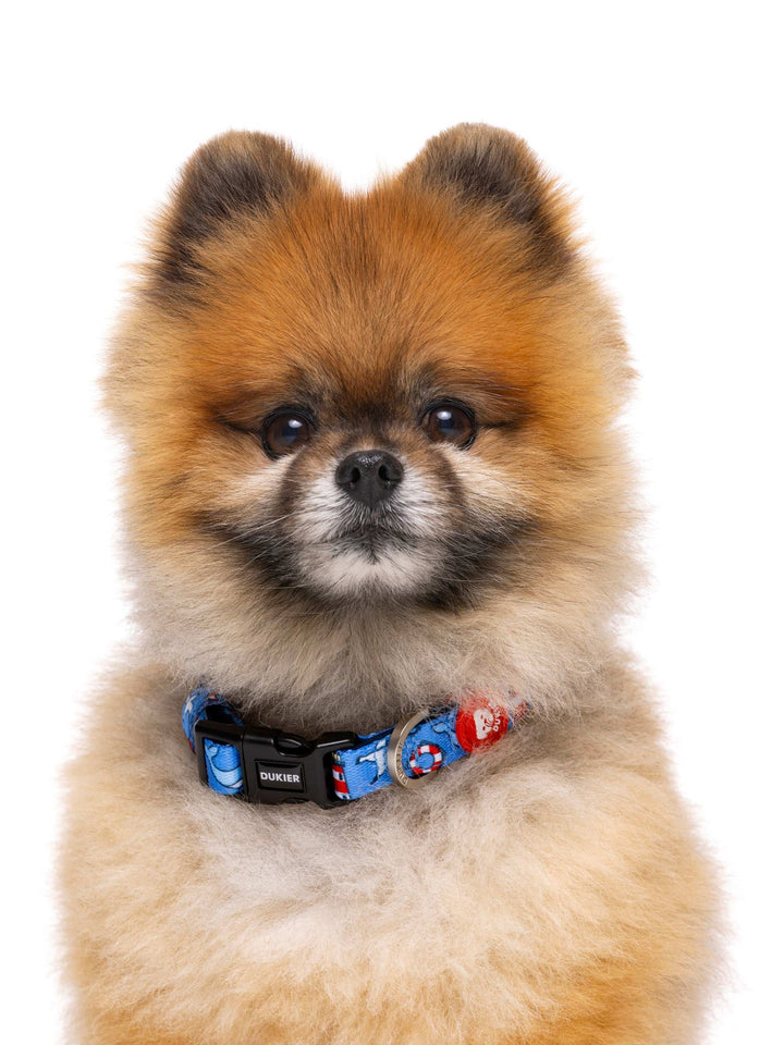 COLLAR PARA PERRO NAVY