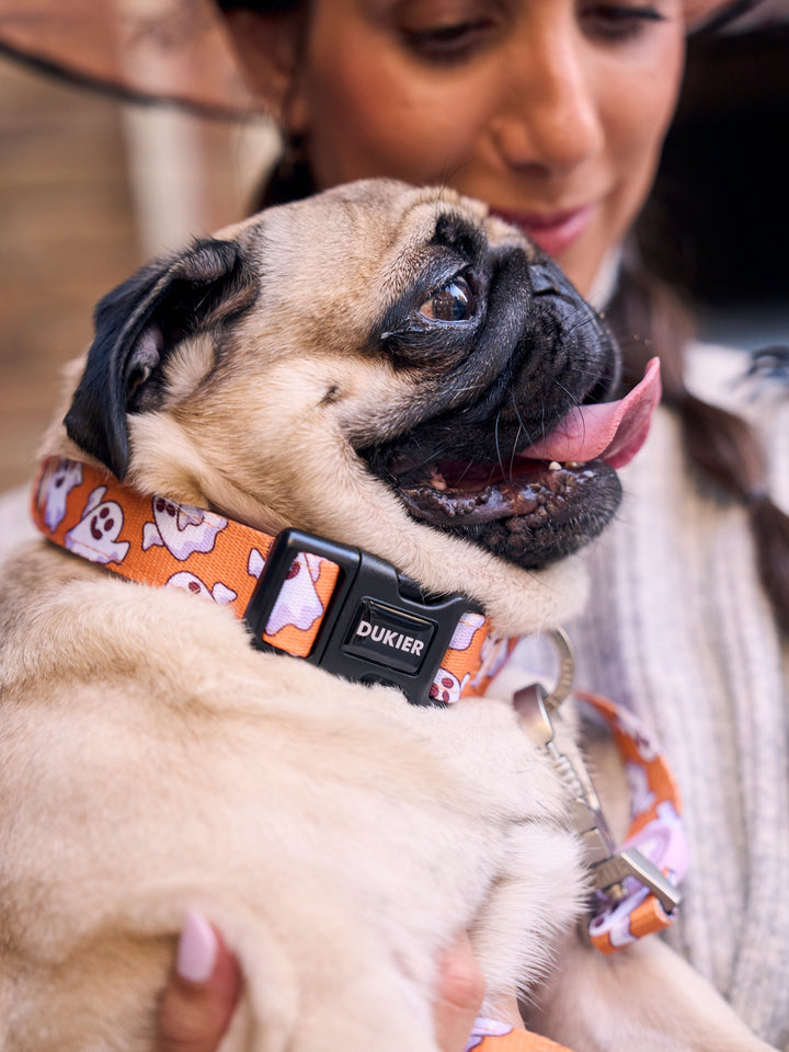 COLLAR PARA PERRO BOOH!