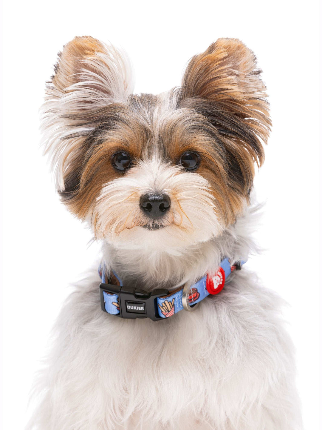 COLLAR PARA PERRO CHURROS